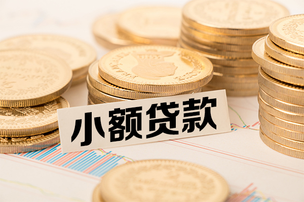 成都大邑县小额贷款当天放款-成都大邑县哪里可以信用贷款-成都大邑县民间借贷